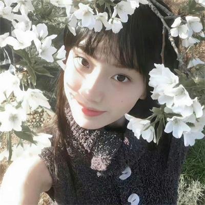 夏目友人帐:结缘空蝉